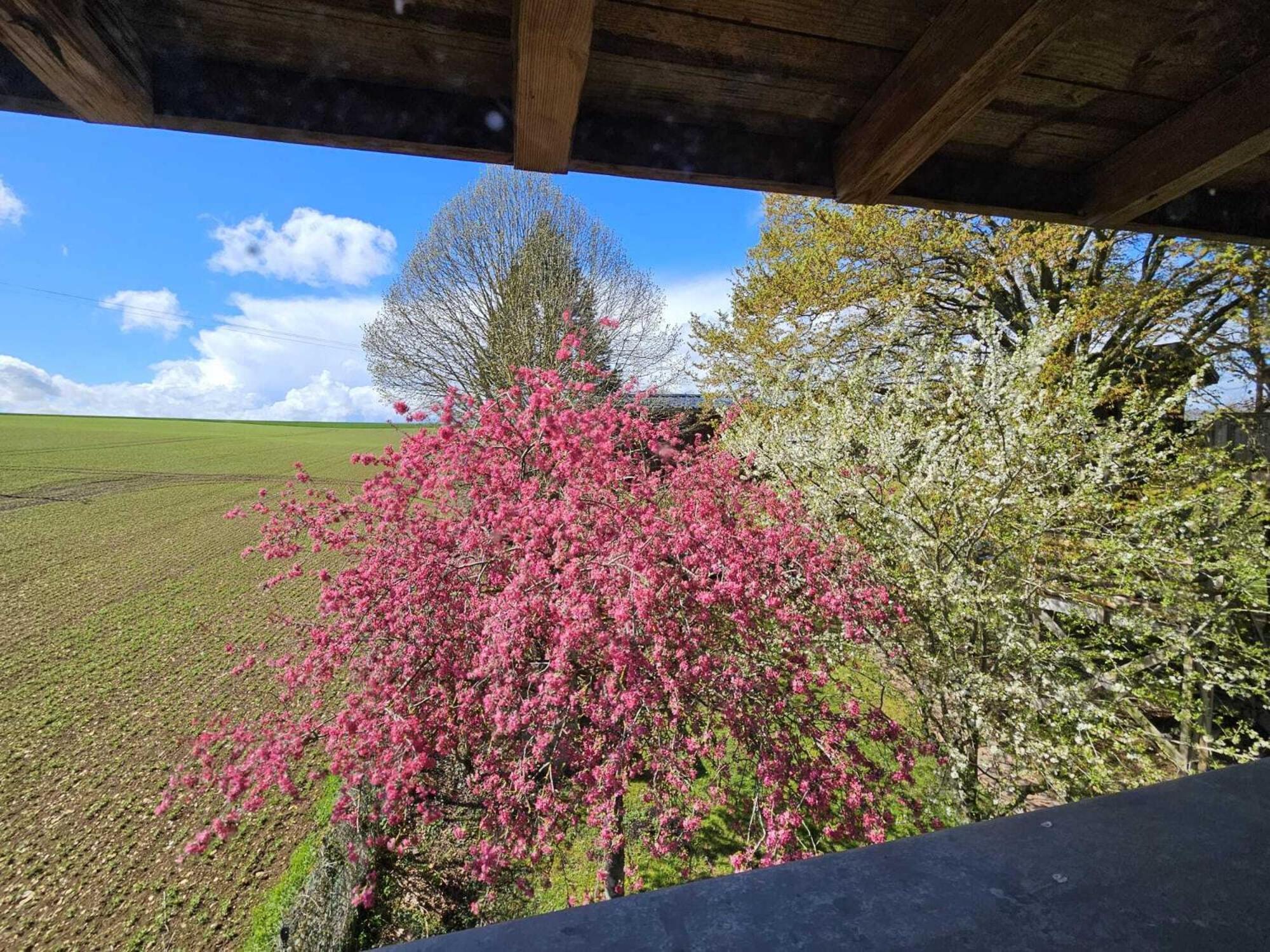 Au Refuge Des 3 Ours - D'hotes Et 3* Essuiles-Saint-Rimault
